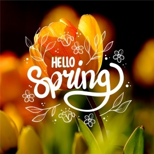 Welcoming Spring: Simple Ways to Refresh and Re-energise This September